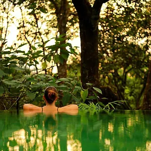 Wayanad Wild - A Cgh Earth Experience 5* Vythiri